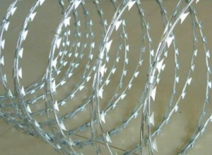 CÔNG TY TNHH THƯƠNG MẠI RANDY