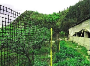 CÔNG TY TNHH THƯƠNG MẠI RANDY